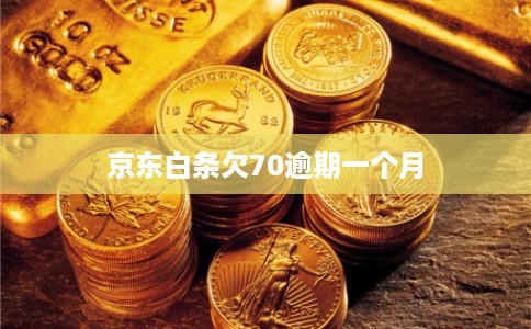 京东白条欠70逾期一个月
