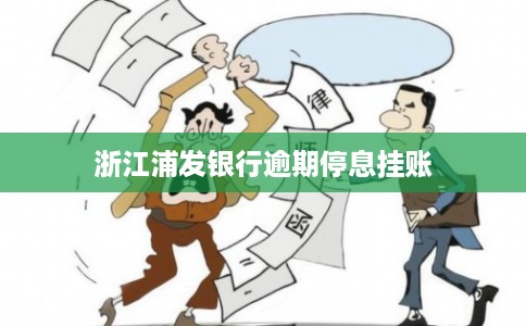 浙江浦发银行逾期停息挂账