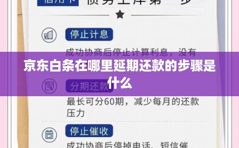 京东白条在哪里延期还款的步骤是什么