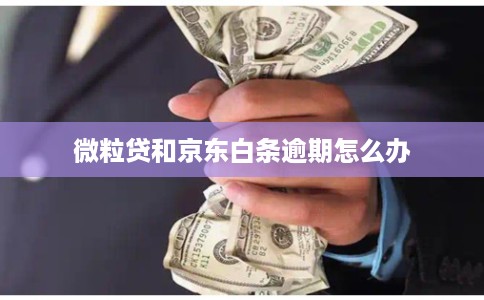微粒贷和京东白条逾期怎么办