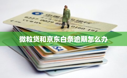 微粒贷和京东白条逾期怎么办
