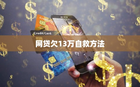 网贷欠13万自救方法