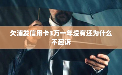 欠浦发信用卡3万一年没有还为什么不起诉