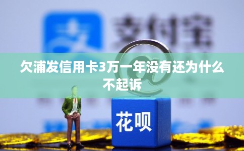 欠浦发信用卡3万一年没有还为什么不起诉