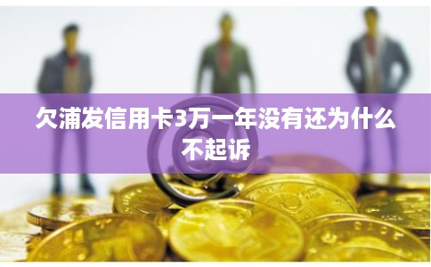 欠浦发信用卡3万一年没有还为什么不起诉