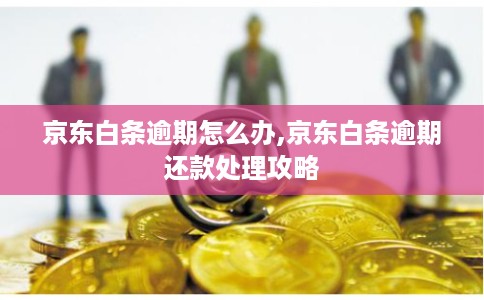 京东白条逾期怎么办,京东白条逾期还款处理攻略