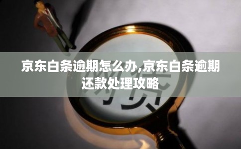 京东白条逾期怎么办,京东白条逾期还款处理攻略