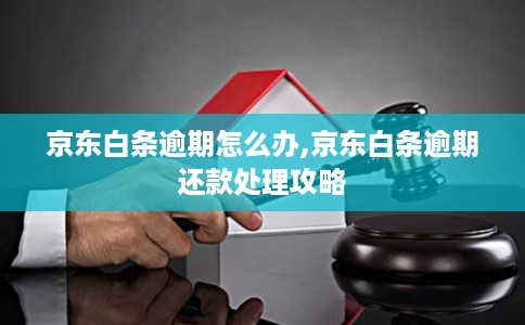 京东白条逾期怎么办,京东白条逾期还款处理攻略