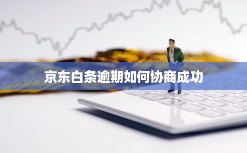 京东白条逾期如何协商成功