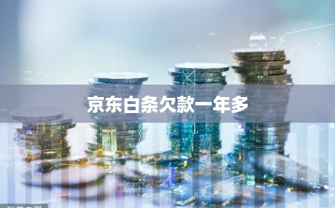 京东白条欠款一年多