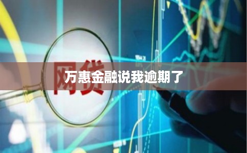 万惠金融说我逾期了