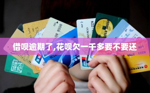 借呗逾期了,花呗欠一千多要不要还