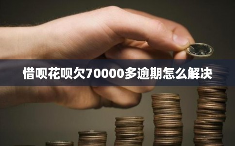 借呗花呗欠70000多逾期怎么解决