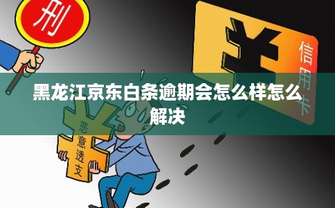 黑龙江京东白条逾期会怎么样怎么解决
