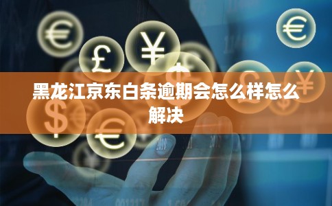 黑龙江京东白条逾期会怎么样怎么解决
