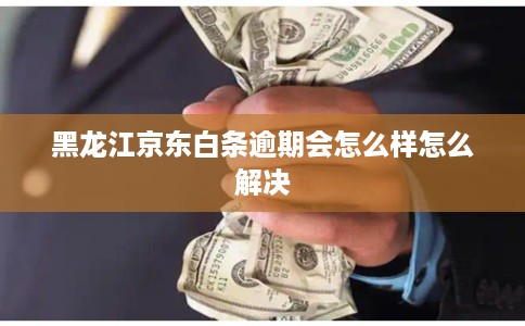 黑龙江京东白条逾期会怎么样怎么解决