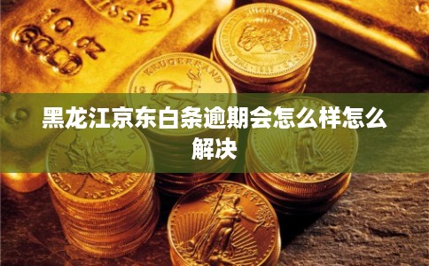 黑龙江京东白条逾期会怎么样怎么解决
