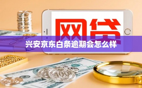 兴安京东白条逾期会怎么样