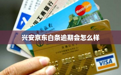 兴安京东白条逾期会怎么样