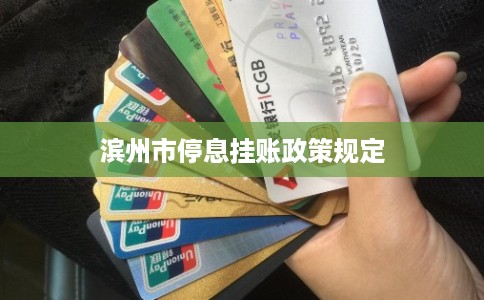 滨州市停息挂账政策规定