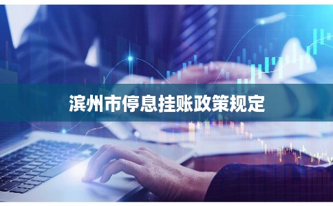 滨州市停息挂账政策规定