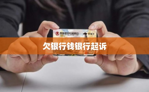 欠银行钱银行起诉