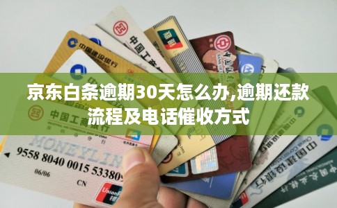 京东白条逾期30天怎么办,逾期还款流程及电话催收方式