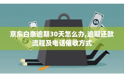 京东白条逾期30天怎么办,逾期还款流程及电话催收方式