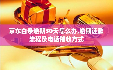 京东白条逾期30天怎么办,逾期还款流程及电话催收方式