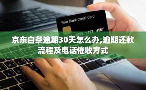 京东白条逾期30天怎么办,逾期还款流程及电话催收方式