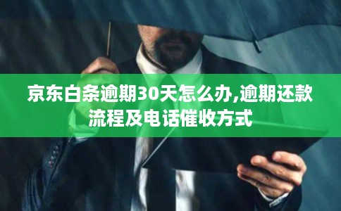 京东白条逾期30天怎么办,逾期还款流程及电话催收方式