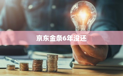 京东金条6年没还