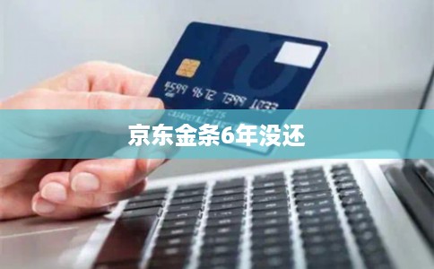 京东金条6年没还