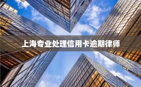 上海专业处理信用卡逾期律师