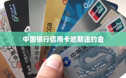 中国银行信用卡逾期违约金