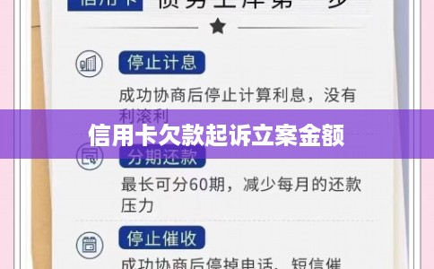 信用卡欠款起诉立案金额