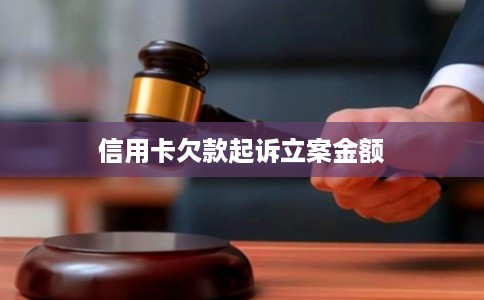 信用卡欠款起诉立案金额