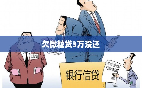 欠微粒贷3万没还