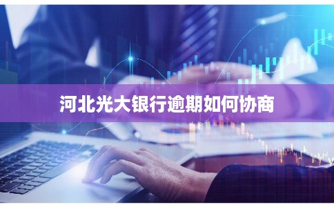 河北光大银行逾期如何协商