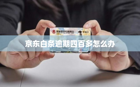 京东白条逾期四百多怎么办