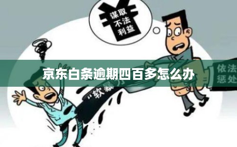 京东白条逾期四百多怎么办