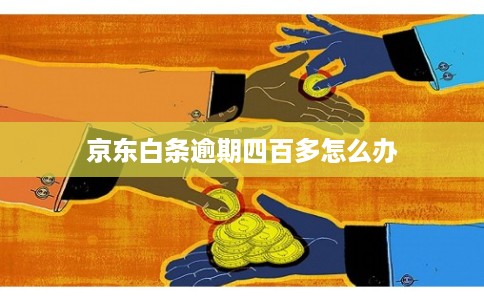 京东白条逾期四百多怎么办