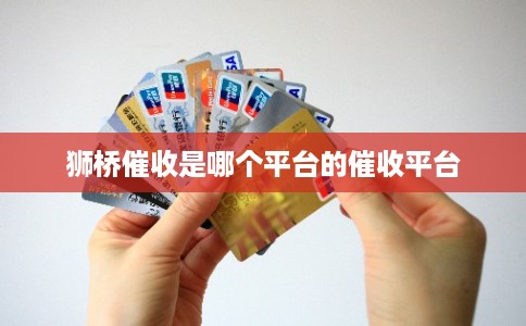 狮桥催收是哪个平台的催收平台