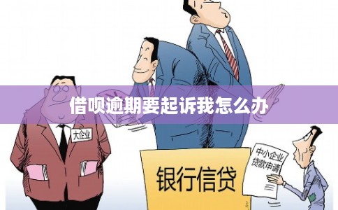 借呗逾期要起诉我怎么办