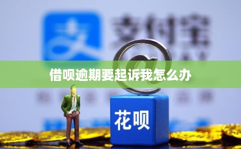 借呗逾期要起诉我怎么办