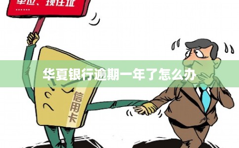 华夏银行逾期一年了怎么办
