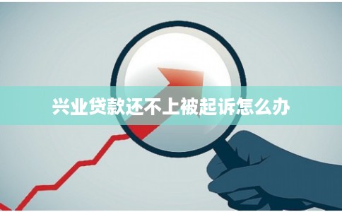兴业贷款还不上被起诉怎么办