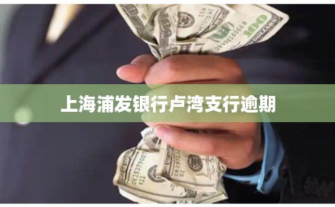 上海浦发银行卢湾支行逾期