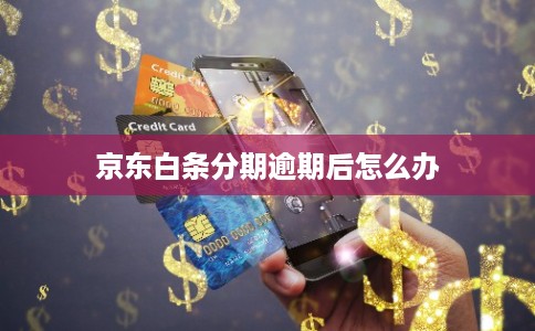 京东白条分期逾期后怎么办