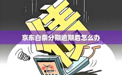 京东白条分期逾期后怎么办